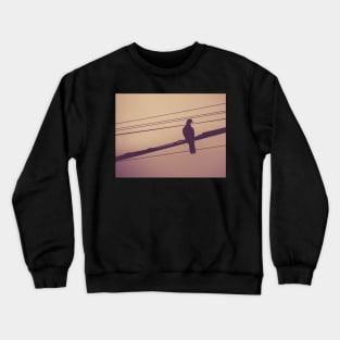 Pigeon on electric wires photograph Crewneck Sweatshirt